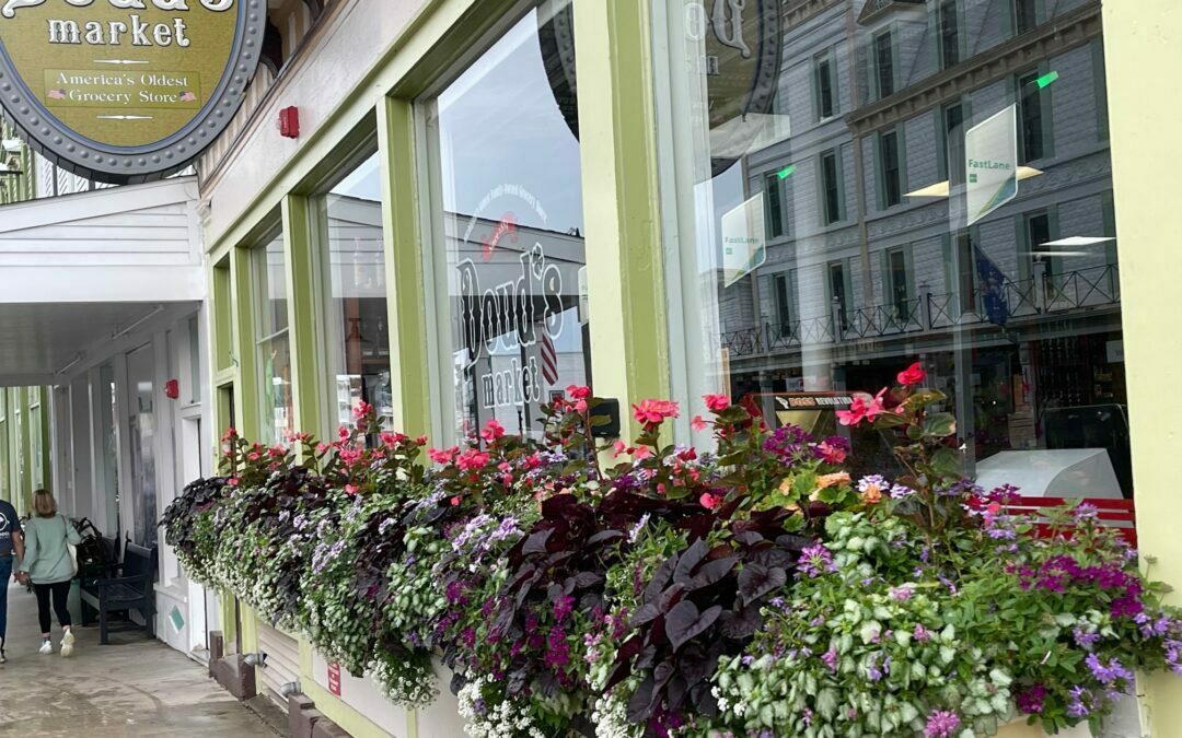 Window Boxes.