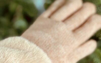 Cozy Mitts-