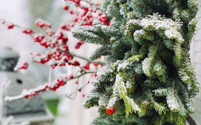 Welcome, Festive December-
