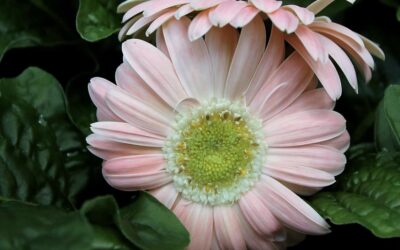 Mother’s Day 2023-