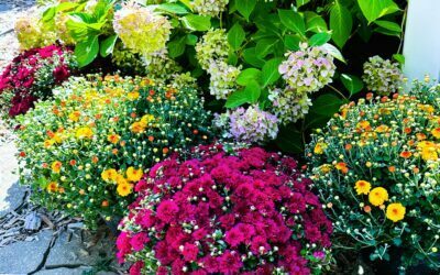 Welcome, Fall-