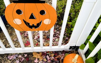 Autumn Garden Magic-