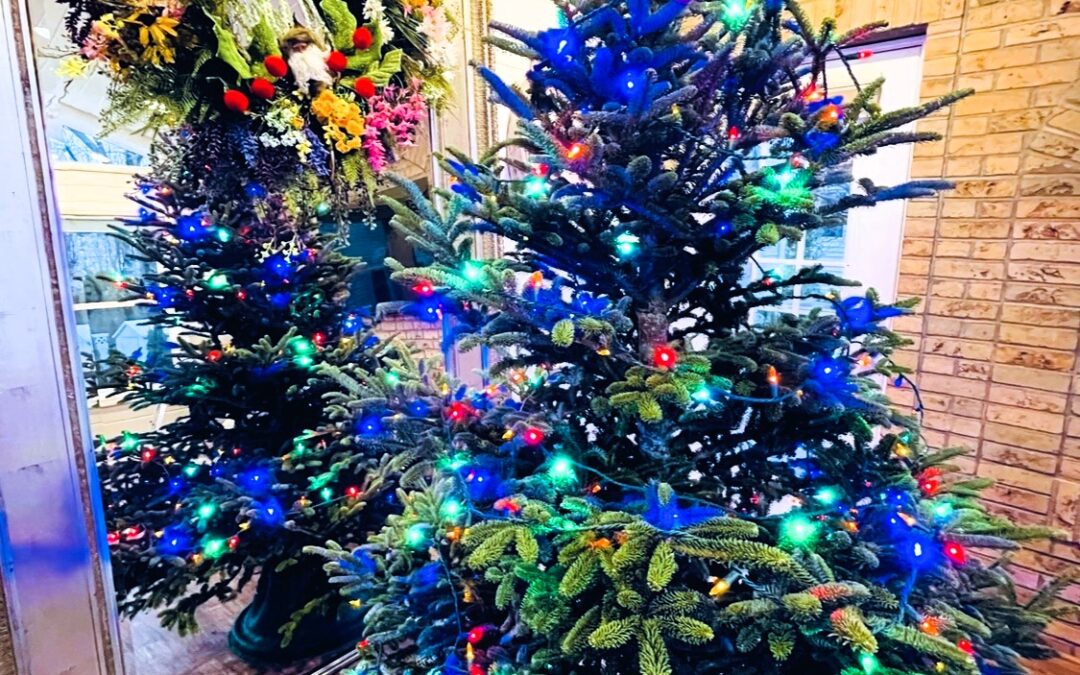 O, Christmas Tree-