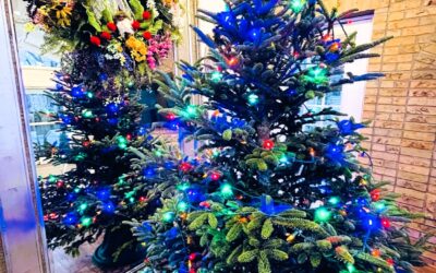 O, Christmas Tree-