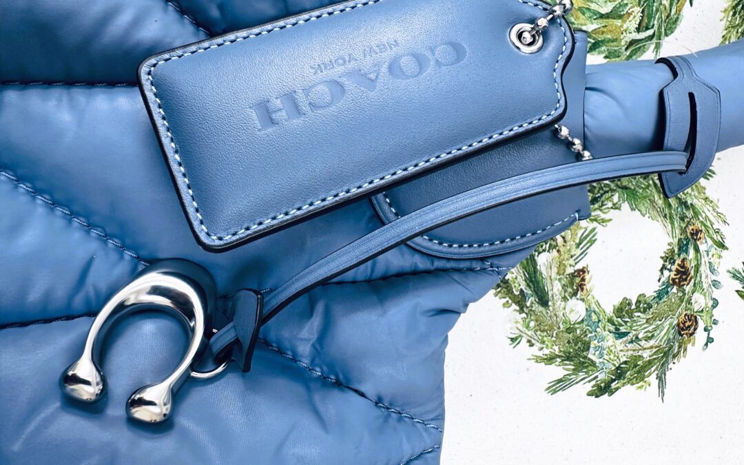 Surprise Purchase of a Coach Bag-