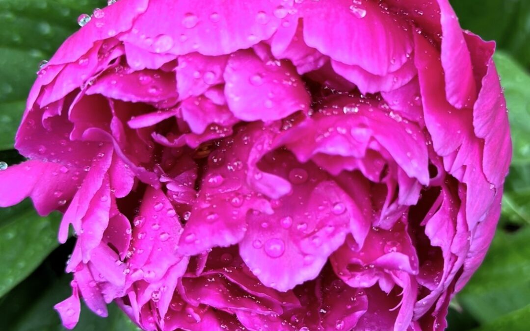 Welcome, Sweet, Sweet May-