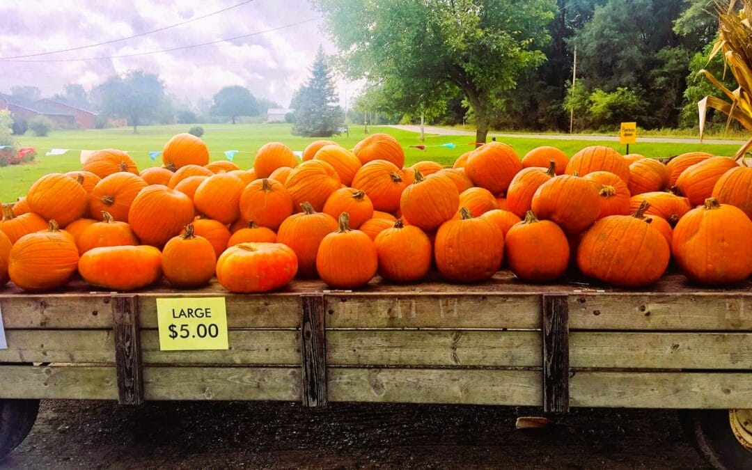 Welcome, Sweet November!-