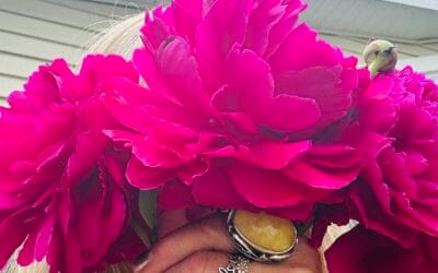 Peony Magic-