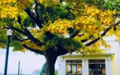 Welcome, Sweet October-